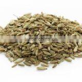 Fennel Seeds