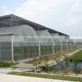 Plastic Sheet for Commercial Greenhouse thumbnail-5