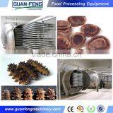 Gold Supplier China Fruit Lyophilizer Industrial Freeze Dried Food Machine thumbnail-1