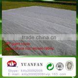 UV Treated PP Spunbond Non Woven Fabric for Plant Cover / Ground Cover / Tree Cover / Tomato Cover thumbnail-2