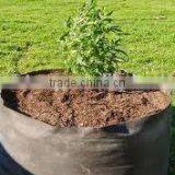 Nonwoven Fabric Raised Bed for Flowers (1 Gal to 1200 Gal) OEM Smart Pots thumbnail-5