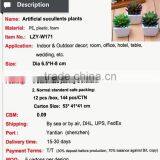 Tiny Artificial Succulents Wholesale Succulents Plants thumbnail-2