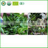 Yunnan Grade A Unfermented Raw Puer Tea thumbnail-4