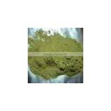 Ephedra Vulgaris thumbnail-1