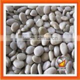 River Stone Yellow Cobble Pebble thumbnail-4