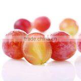 Fresh Grapes thumbnail-1