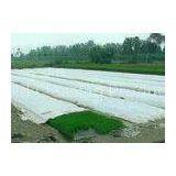 Spunbond Non Woven Agriculture Cover Fabric , Landscape PP Fabrics for Green House thumbnail-1