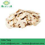 Fresh Champignon Mushroom thumbnail-3