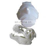 Rubber Abs Resin Prototyping Pla Plastic Nylon Pmma Silicone Tpu Sla Sls Slm Fdm Custom 3d Printing Spare Parts for Pet Material thumbnail-4