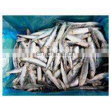 Good Quality IQF Sardine Fish Export for Fishing Bait thumbnail-1