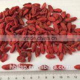 Dried Goji Berry