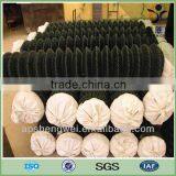 Low Price PVC Coated Chain Link Fence