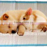 Dog Pet Pad / Pet Pad thumbnail-1