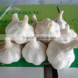 Jining Pretty Jade Food Company Limited company overview - view 4 thumbnail