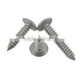 Stainless Steel Cross Flat Head Tapping Screw Thumb Head Tapping Screw thumbnail-4