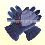 Velvet Winter Gloves