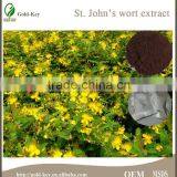 Hypericum Perforatum Extract, St.John's Wort Extract Powder thumbnail-6