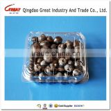 Plastic blueberry packaging container 125 gram