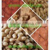 Textured Soya Meat Processing Line