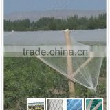 hail proof netting for agriclture