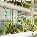 Pipe/Window PVC Profile Scrap of Recycling Plastic thumbnail-4