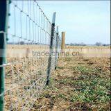 Metal Frame Material Steel Fence Posts T Post thumbnail-5