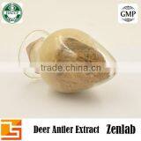 Pure Pilos Deer Horn Extract Powder 10:1 20:1 thumbnail-2