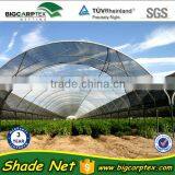 40% Agriculture High Tunnel HDPE Tape Shade Netting for Farm