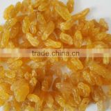 Candy Dried Golden Raisins Fruit