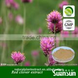 Red Clover Extract with isoflavone