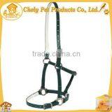Cheap Economy PVC Bridle Horse Training Equipment Other Horse Products