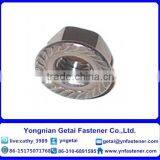 Carbon Steel DIN6923 Hex Flange Nuts thumbnail-1