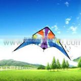 Dual Line Delta Stunt Kites - Curved Edge Kites