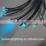 2mm Underwater Light End Glow Fibre Optique Lighting Fiber Optic for Swimming Pool Lighting