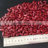 British Red Kidney Beans,Crop 2013,Factory,180-200PCS thumbnail-1