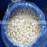 Garlic Cloves in Brine thumbnail-1