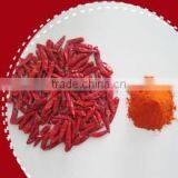 Seasoning Chilli & Chilli Powder thumbnail-1
