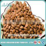 2016 Chinese New Crop Bitter Apricot Kernels Out of Shell is Ready for You thumbnail-3