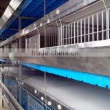 H type 56 chickens broiler chicken cage sale for Tanzania