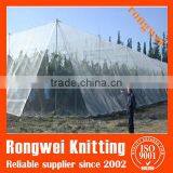 100% New HDPE Yemen Anti Hail Net With UV Retabilizer Made in China