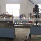Glass Bottle Washing , Filling and Capping Production Line
