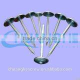 Sanfan-galvanized Thread Rolling Roofing Nails thumbnail-1