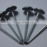 Hot sales! China factory supply high quality galvanized umbrella head roofing nails