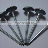 Hot Sales! China Factory Supply High Quality Galvanized Umbrella Head Roofing Nails thumbnail-1