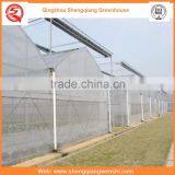 Agriculture Equipment Multi-span 12m Plastic PE Film Agriculture Greenhouse for Sale thumbnail-5