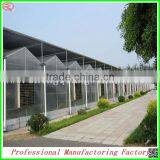 Large Muti-span Polycarbonate Sheet Greenhouse for Tomatos thumbnail-5