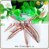 Rural Series of Dried Fruit Hangs Have Seven Options thumbnail-2