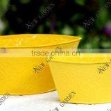 Outside Color Painted Small Seed Planter thumbnail-1