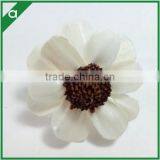 Dried Sola Flower From China Supplier thumbnail-2