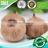 2016 Hot Sale Natural Snack Food Fermented China Black Garlic Single Bulb thumbnail-6